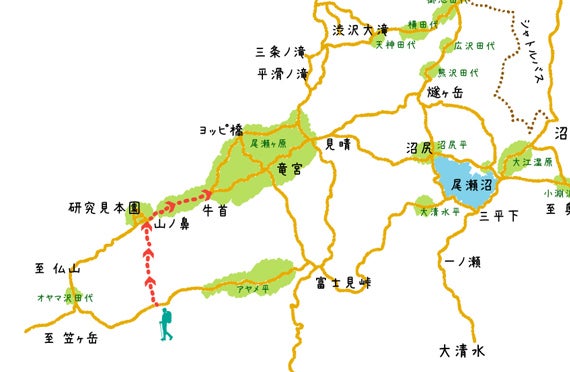 【お昼は群馬名物まいたけ弁当付♪ 新宿発】水芭蕉咲く尾瀬へ 乗り換えなしで楽々ハイキング!鳩待峠たっぷり4時間!! 日帰りバスツアー3